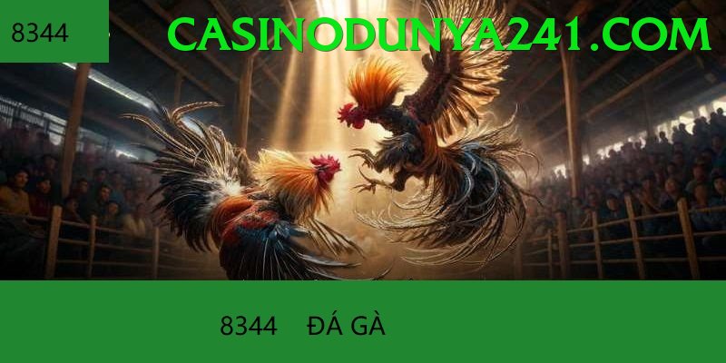 Đá Gà Trực Tiếp - Trải nghiệm tuyệt vời